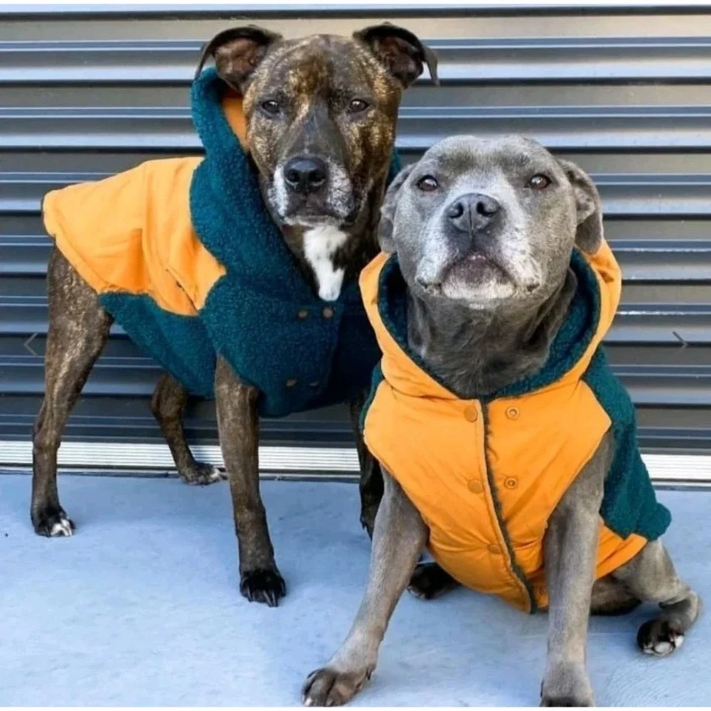 Spark Paws Orange & Green Fleece Reversible Dog Hoodie Sweater 2XL Big Dogs NEW‎
